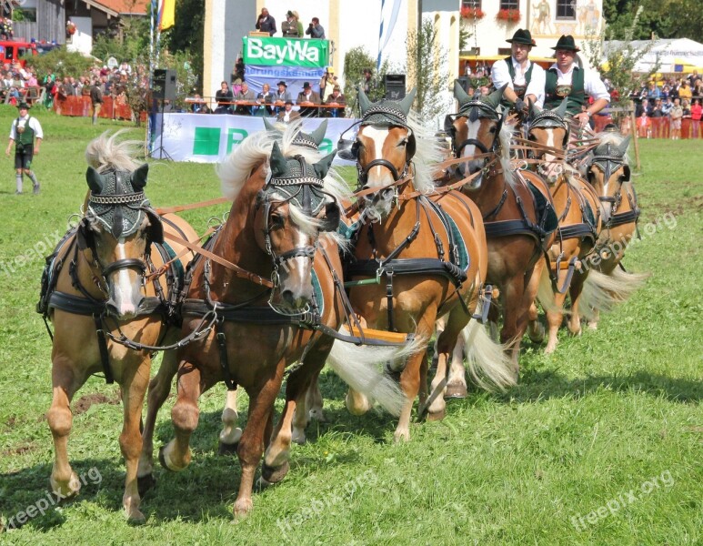 Cavalry Human Horse Reiter Tableware