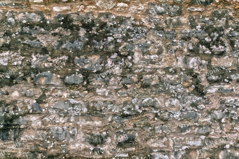 Wall Quarry Stone Stone Wall Texture Natural Stone