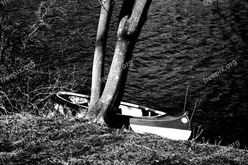 Nature Waters Wood Black And White Photography Canoeing