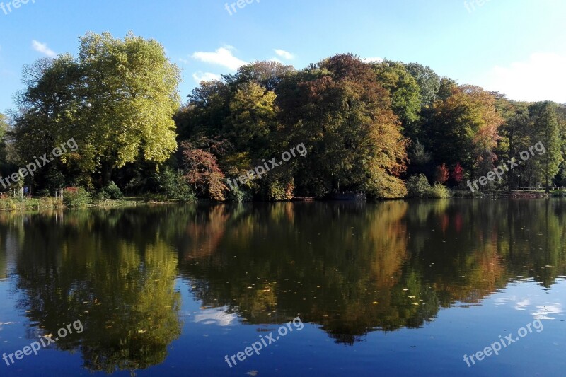 Waters Nature Tree Lake Reflection