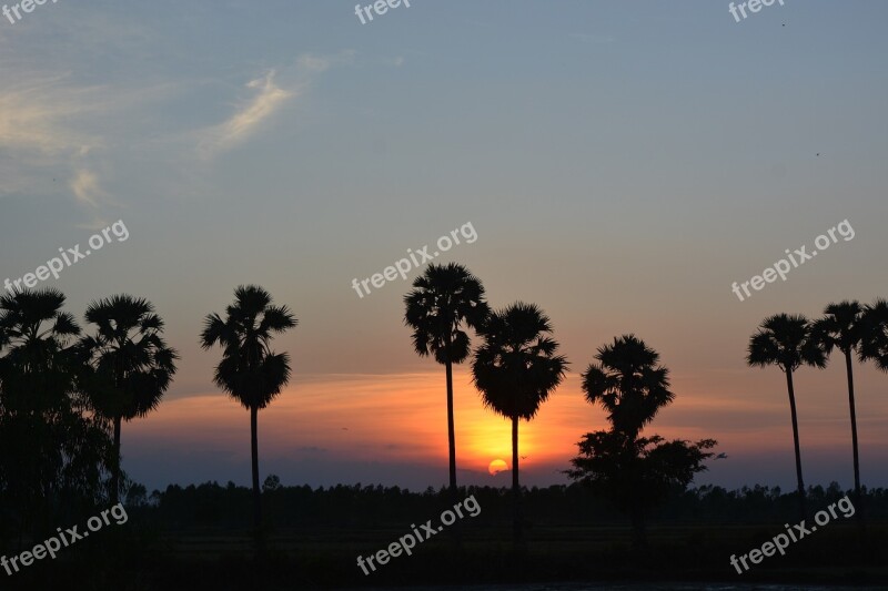 Sunlight Evening Sun The Landscape Peace