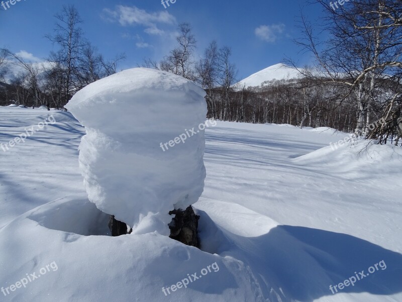 Forest Mountains Winter Snow Snowdrifts