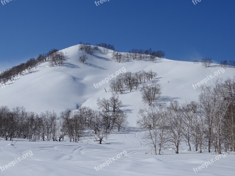 Mountains Hill Forest Slopes Winter