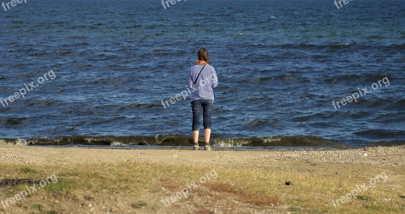 Sea Water Beach Nature Seashore