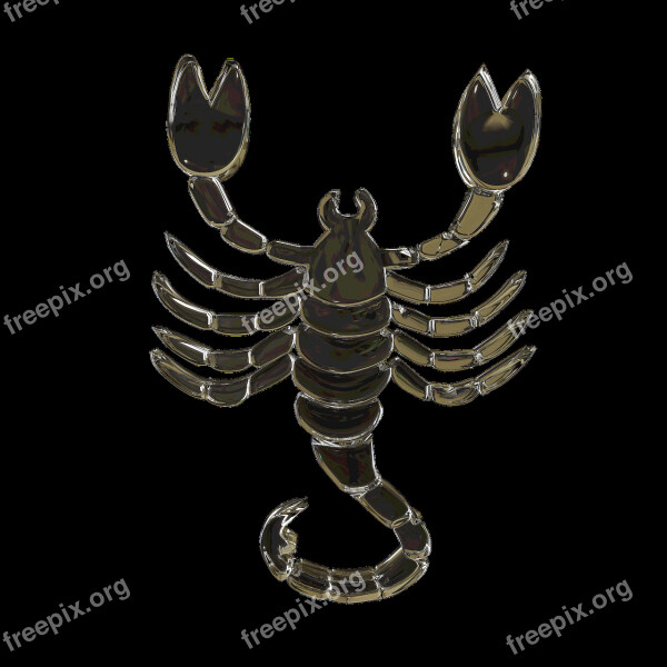 Glass Signs Of The Zodiac Scorpion Horoscope Free Photos