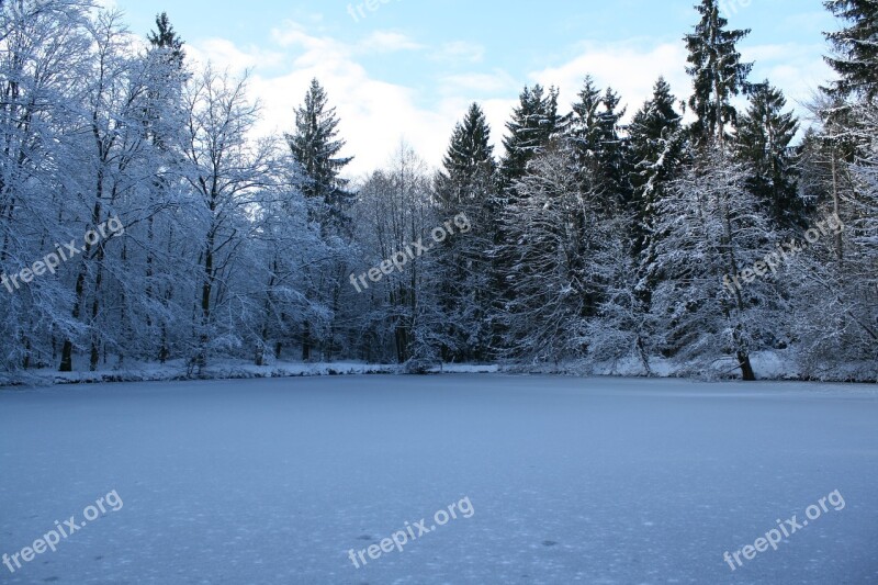 Snow Winter Frost Wood Cold