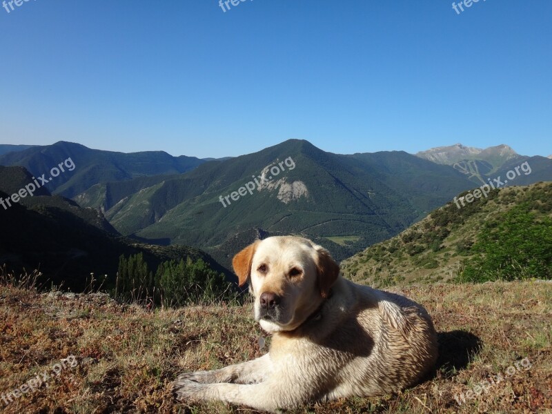 Mountain Nature Outdoors Sky Grass