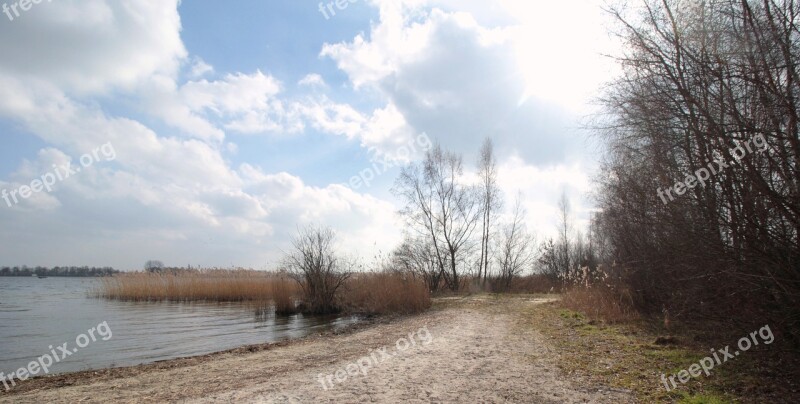 Beach Winter Water Reed Landscape