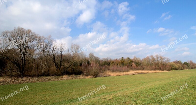 Dyke Forest Nature Colors Landscape