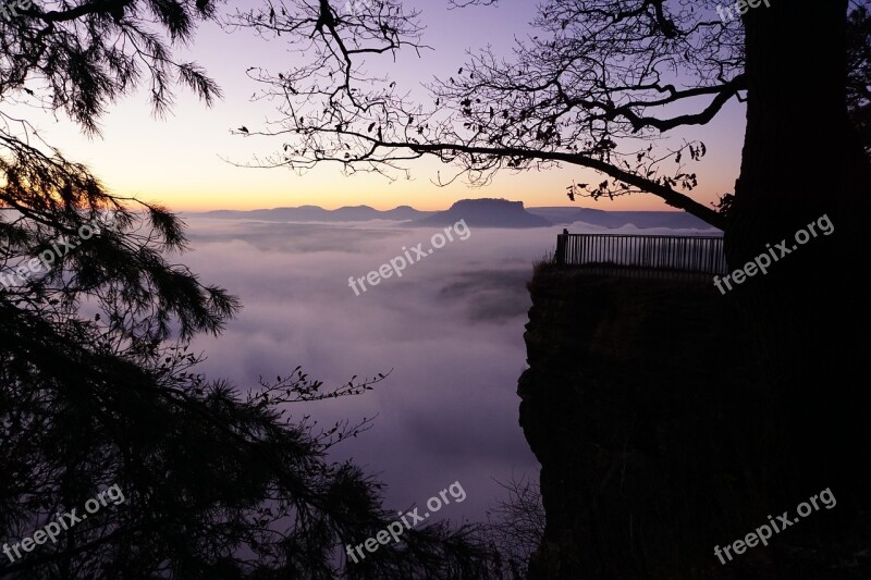 Tree Nature Dawn Waters Landscape