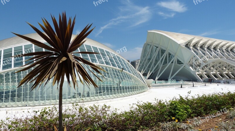 The Dome Of The Sky Architecture Travel Nature Valencia