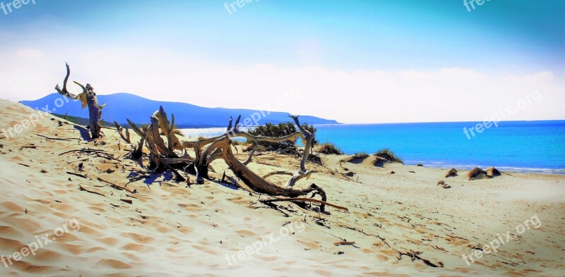 Sand Beach Nature Waters Sea