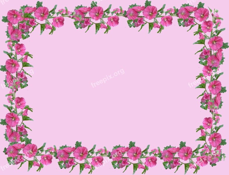 Flower Flora Desktop Leaf Picture Frame