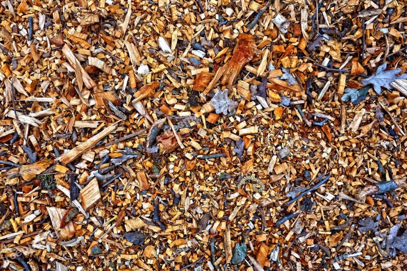 Wood Chips Wood Chips Material Shavings