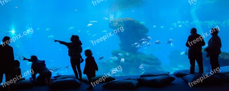 Submerged Body Of Water Ocean Sea Nature