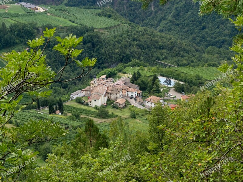 Nature Tree Mountain Landscape Summer