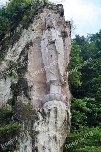 Nature Travel Tree Stone Rock