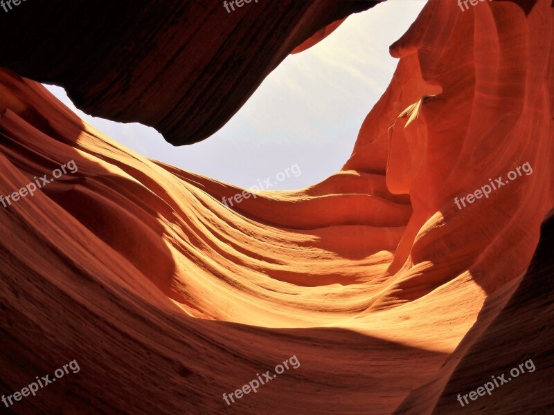 Nature Usa Park Canyon Antelope