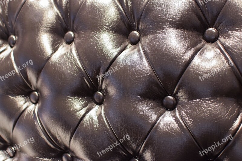 Leather Sofa Drape Model Skin Furniture