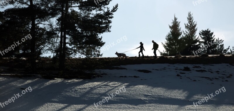 Spacer Dog Tour Mountains Beskids