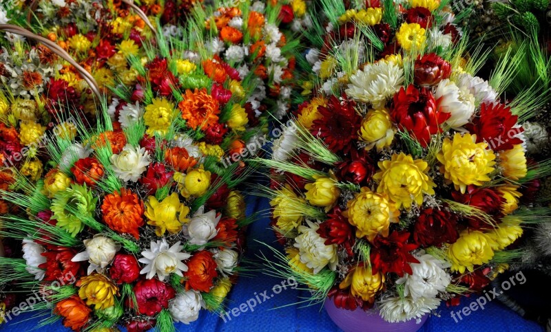 Flower Nature Bouquet De Fleurs Plant Color