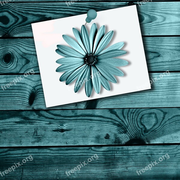 Wood Poster Flower Color Background