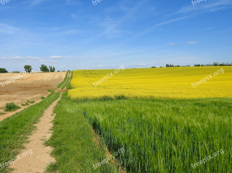 Field Landscape Nature Outdoors Rural Areas