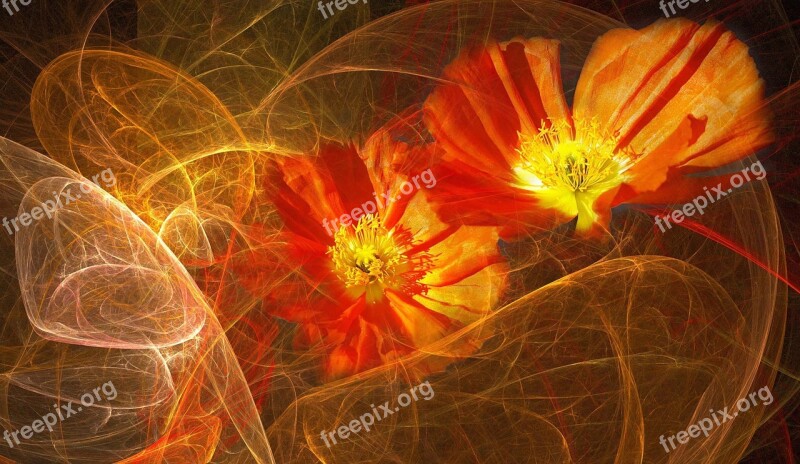 Flowers Orange Floral Composition Scrolls Free Photos