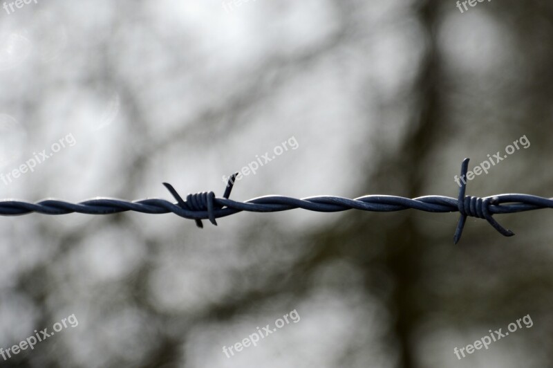 Barbed Wire Closing Security Prison Gleams