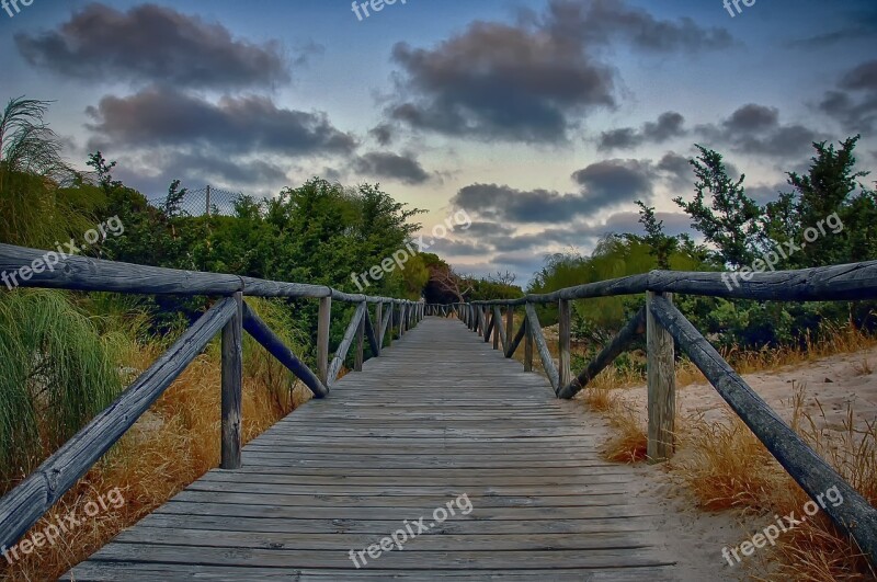 Wood Bridge Nature Outdoors Sky