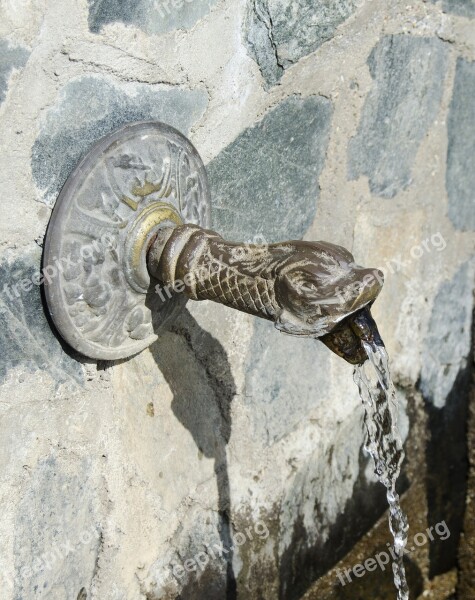 Fountain Bronze Snake Head Outdoor Water