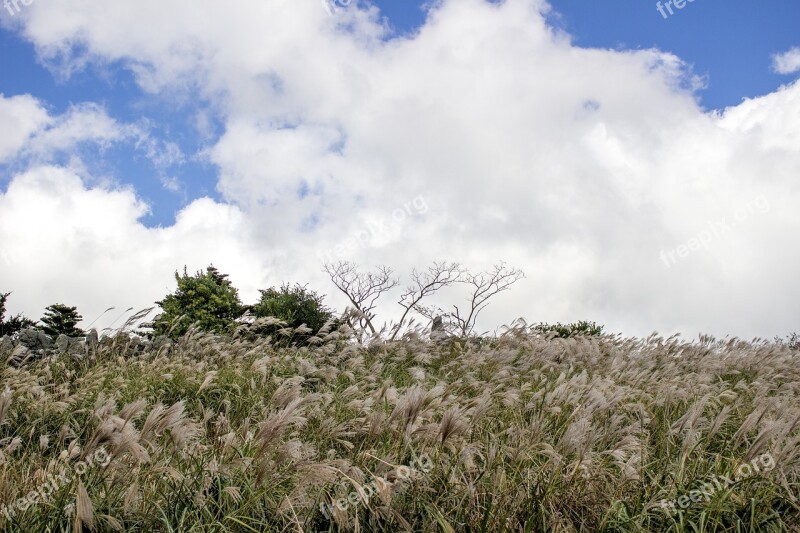 Jeju Island Korea Nature S Heaven