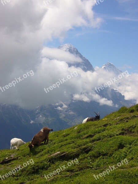 Nature Outdoor Landscape The Dome Of The Sky Travel