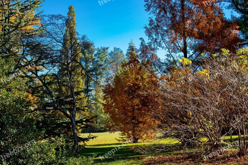 Planting Fields Fall Season Tree Landscape Leaf