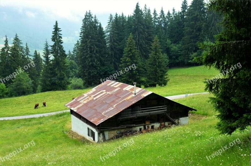 Nature France Alps Haute Savoie Chalet