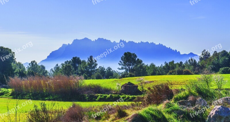 Nature Landscape Panoramic Tree Sky