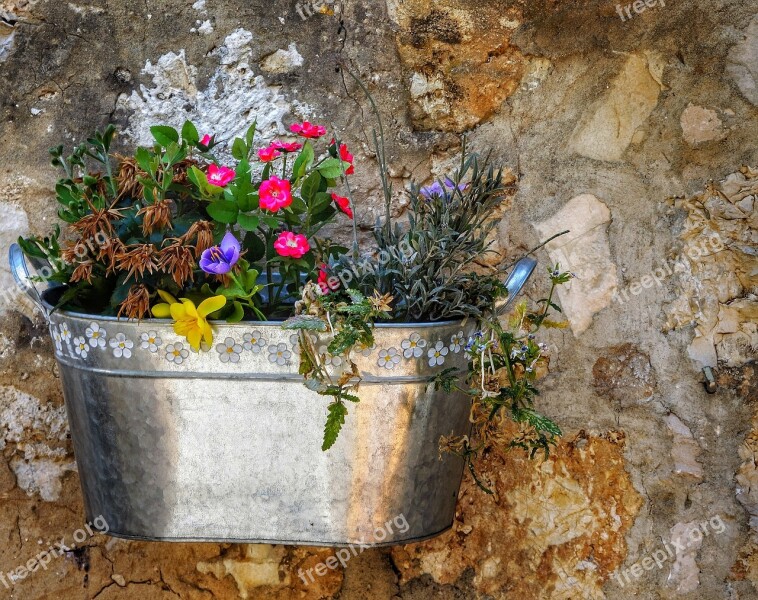 Wall Planter Mixed Flower Pot