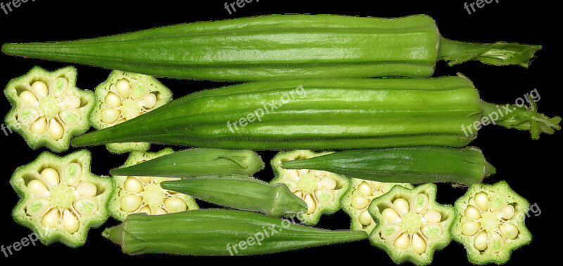 Okra Vegetable Organic Harvest Nutrition