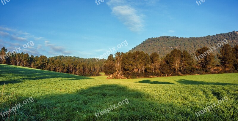 Lawn Nature Landscape Summer Sky