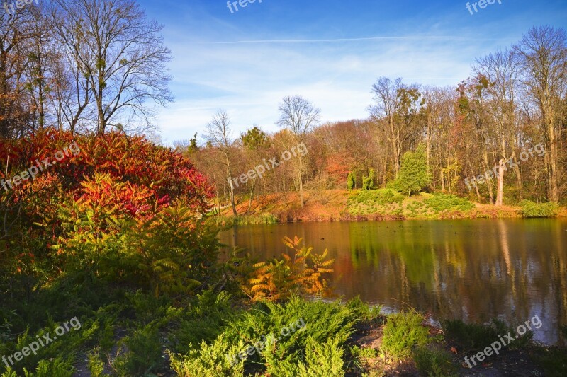 Fall Nature Tree Landscape Leaf