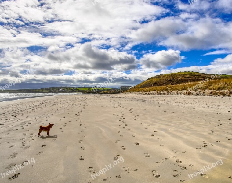 Sand Beach Landscape Desert Seashore