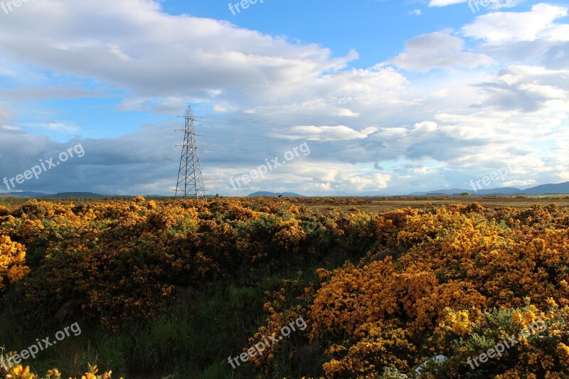 Nature Panorama Landscape Sky Plant