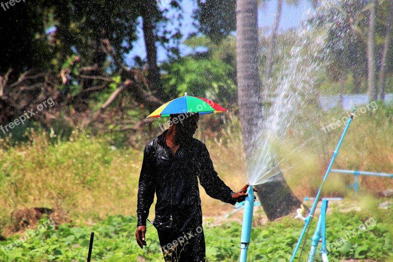 Wet Palm Trees Water Boiling Hot At The Court Of