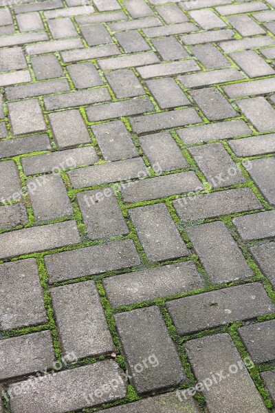 Stone Pavement Pattern Footpath Cobblestone