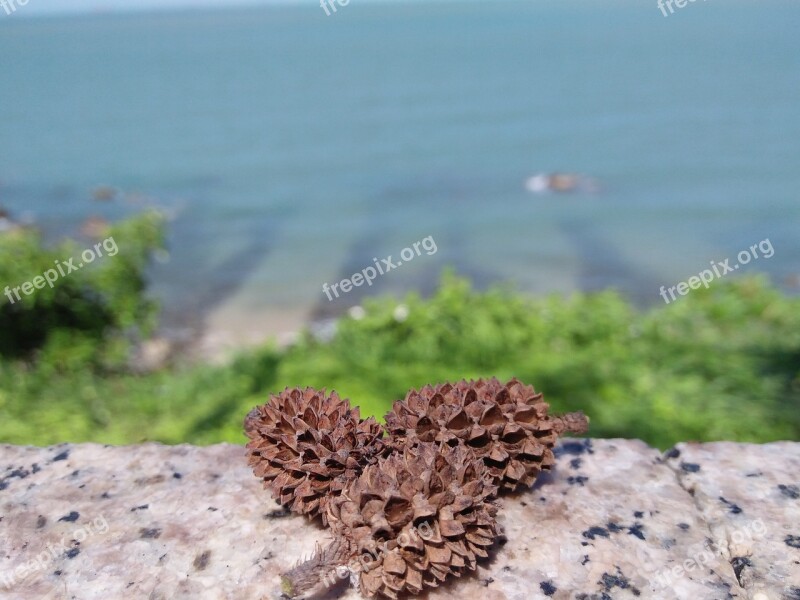 Photo Nice The Sea Natural Scenery