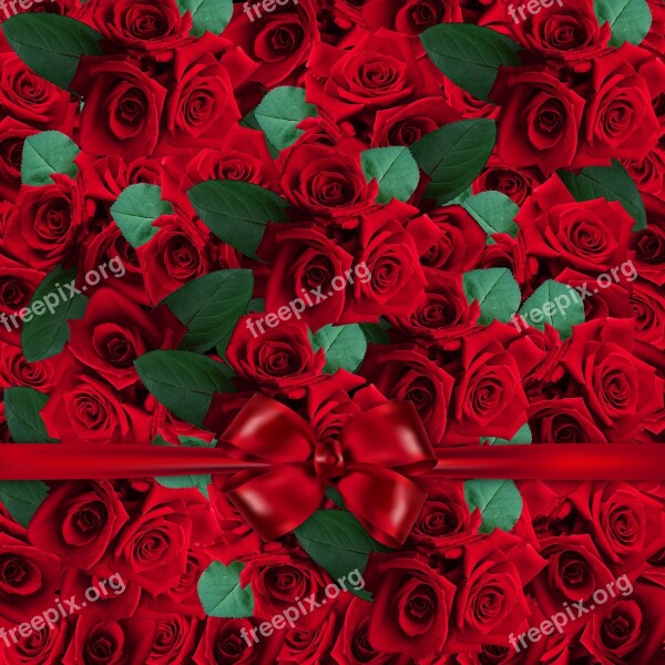 Floral Flower Pattern Art Roses