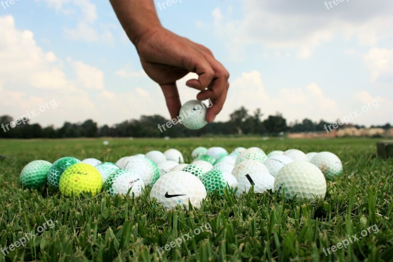 Ball Golf Grass Sport Leisure