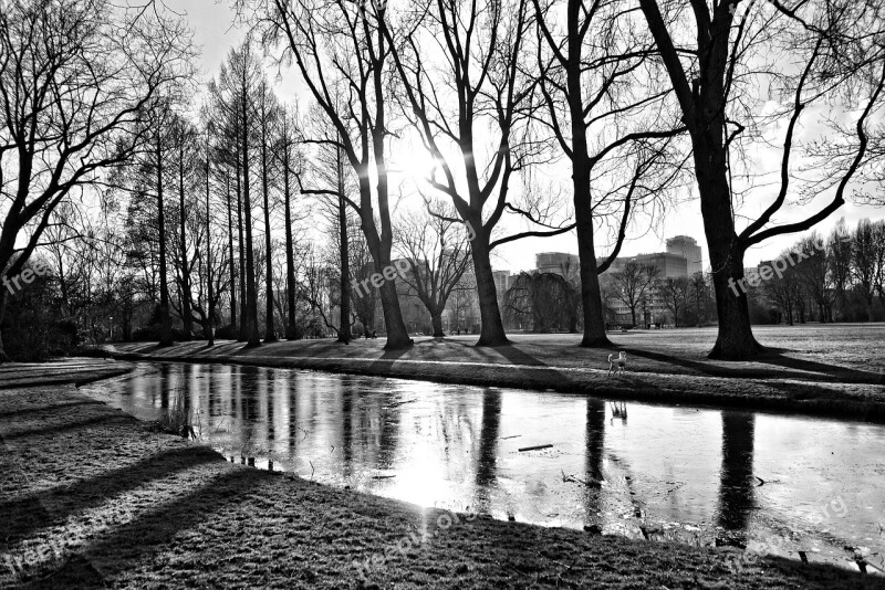 Park Landscape Pond Ice Frozen