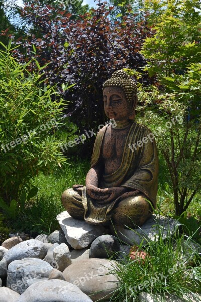 Nature Buddah Garden Meadow Free Photos