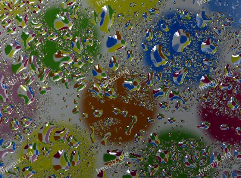 Drops Macro Refractive Free Photos